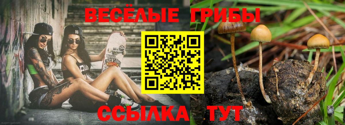 Псилоцибиновые грибы GOLDEN TEACHER Дмитров